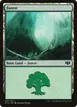 Forest #337
