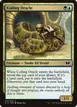 Coiling Oracle #213