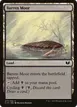 Barren Moor #277