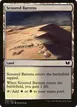 Scoured Barrens #303