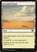 Secluded Steppe #304
