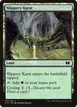 Slippery Karst #307