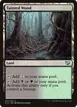 Tainted Wood #312