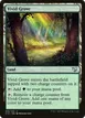Vivid Grove #318