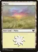Plains #324