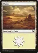 Plains #325