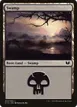 Swamp #333
