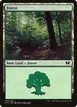 Forest #340