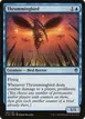 Thrummingbird #100