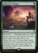 Collective Voyage #145