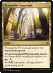 Transguild Promenade #334