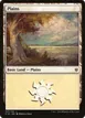 Plains #337