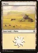 Plains #339
