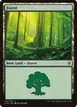 Forest #351