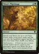 Nissa's Pilgrimage #155