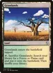 Grasslands #252