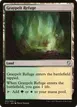 Graypelt Refuge #253
