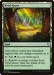 Vivid Grove #291