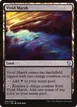 Vivid Marsh #292