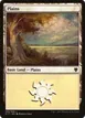 Plains #295