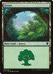 Forest #308