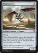 Pilgrim's Eye #214