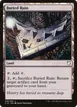 Buried Ruin #239