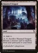 Haunted Fengraf #254
