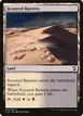 Scoured Barrens #276