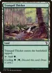 Tranquil Thicket #290