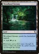 Woodland Stream #292