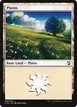 Plains #293