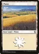Plains #294