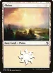 Plains #295