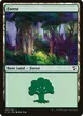 Forest #307