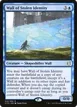 Wall of Stolen Identity #13