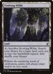 Evolving Wilds #241