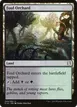 Foul Orchard #244