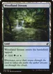 Woodland Stream #286