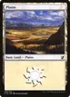Plains #288