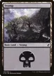 Swamp #294