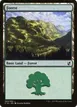 Forest #300