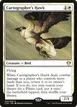 Cartographer's Hawk #24