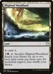 Blighted Woodland #258