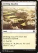 Drifting Meadow #271