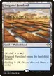Irrigated Farmland #282