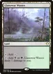 Llanowar Wastes #286