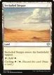 Secluded Steppe #307