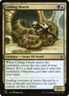 Coiling Oracle #212