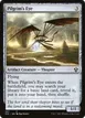 Pilgrim's Eye #257